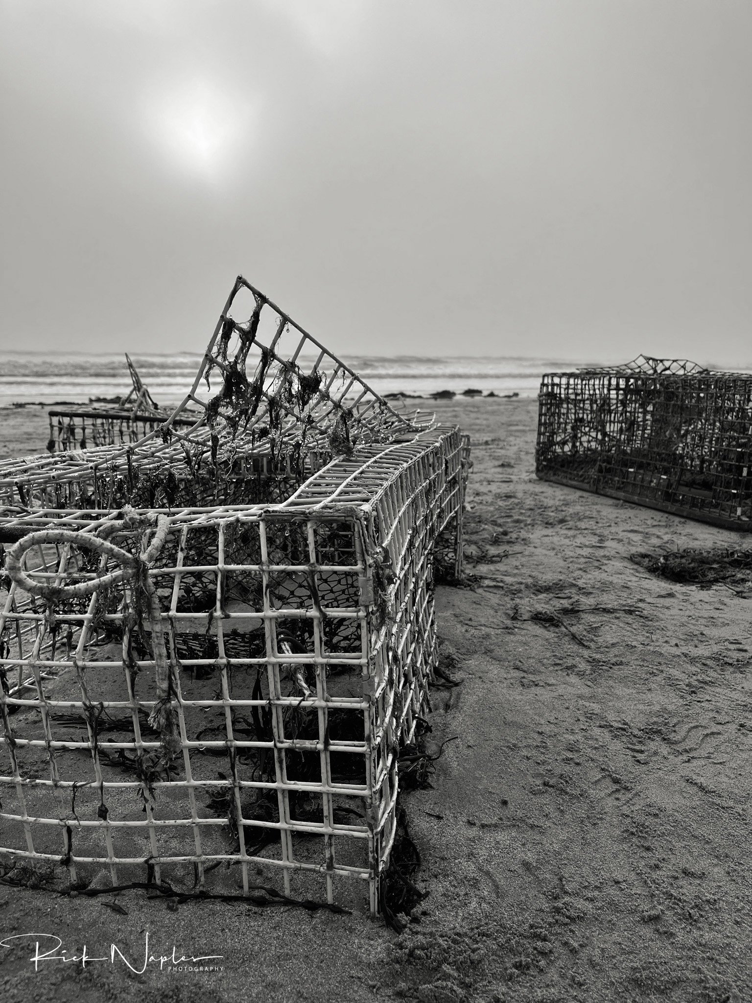 BLACK AND WHITE PHOTOGRAPHY product image (2)