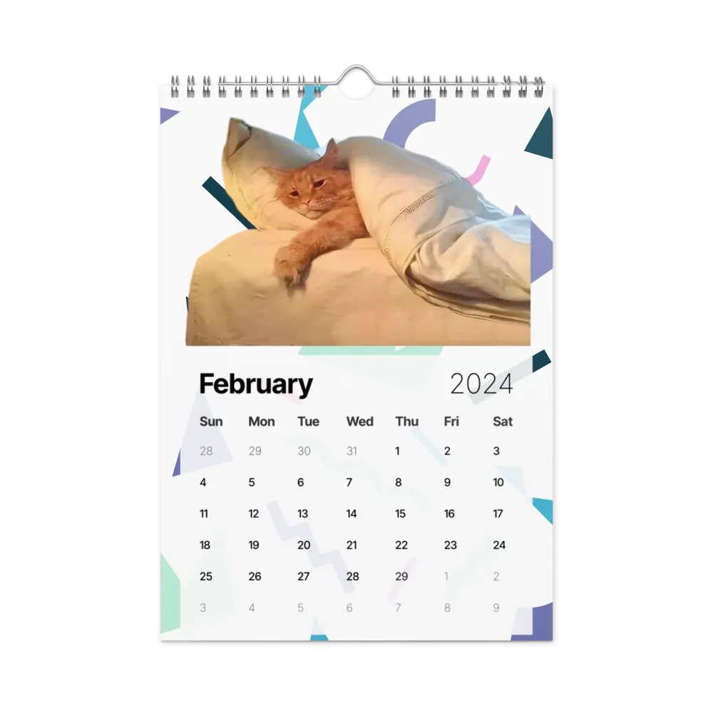 Wall Calendar (2024): Meme Cats product image (7)