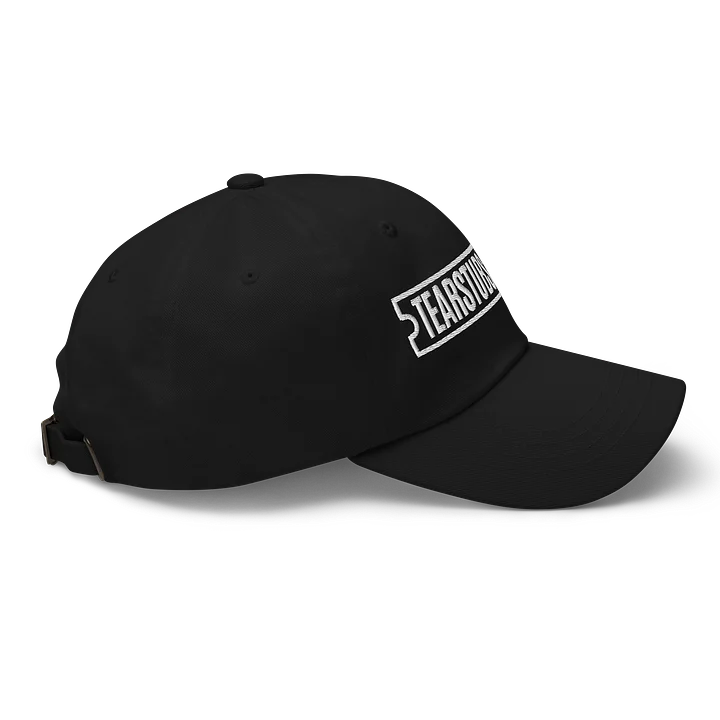 Tearstubs Dad Hat product image (2)