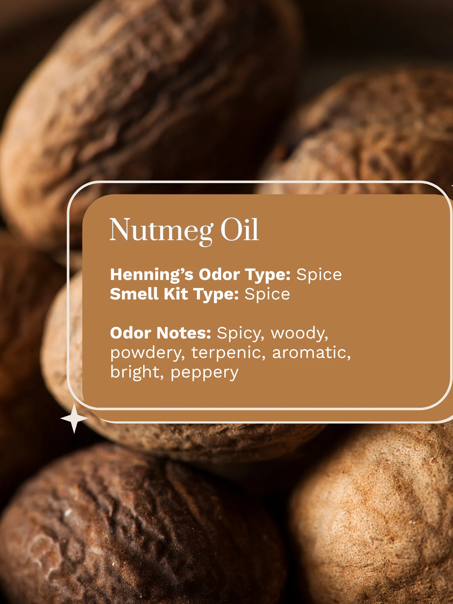 Olfaria Smell Training Kit | Set 4 | 5 Single-Note Essential Oils | Olfactory Training / Smell Loss product image (5)