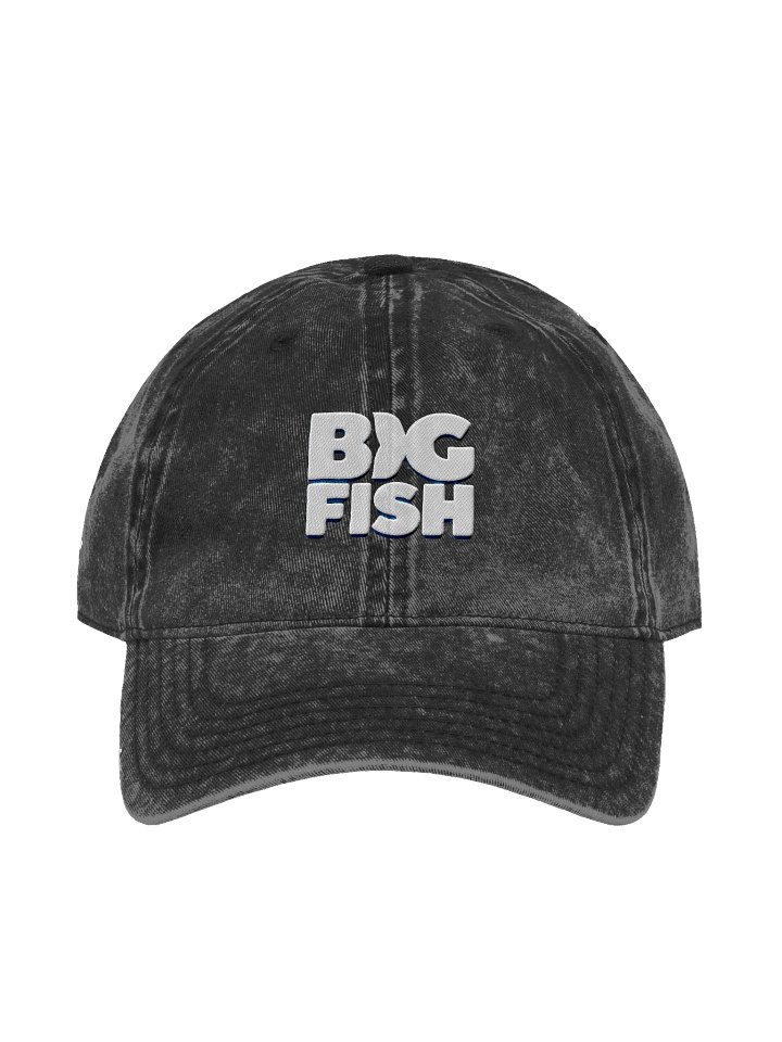 Big Fish Washed Cap product image (1)