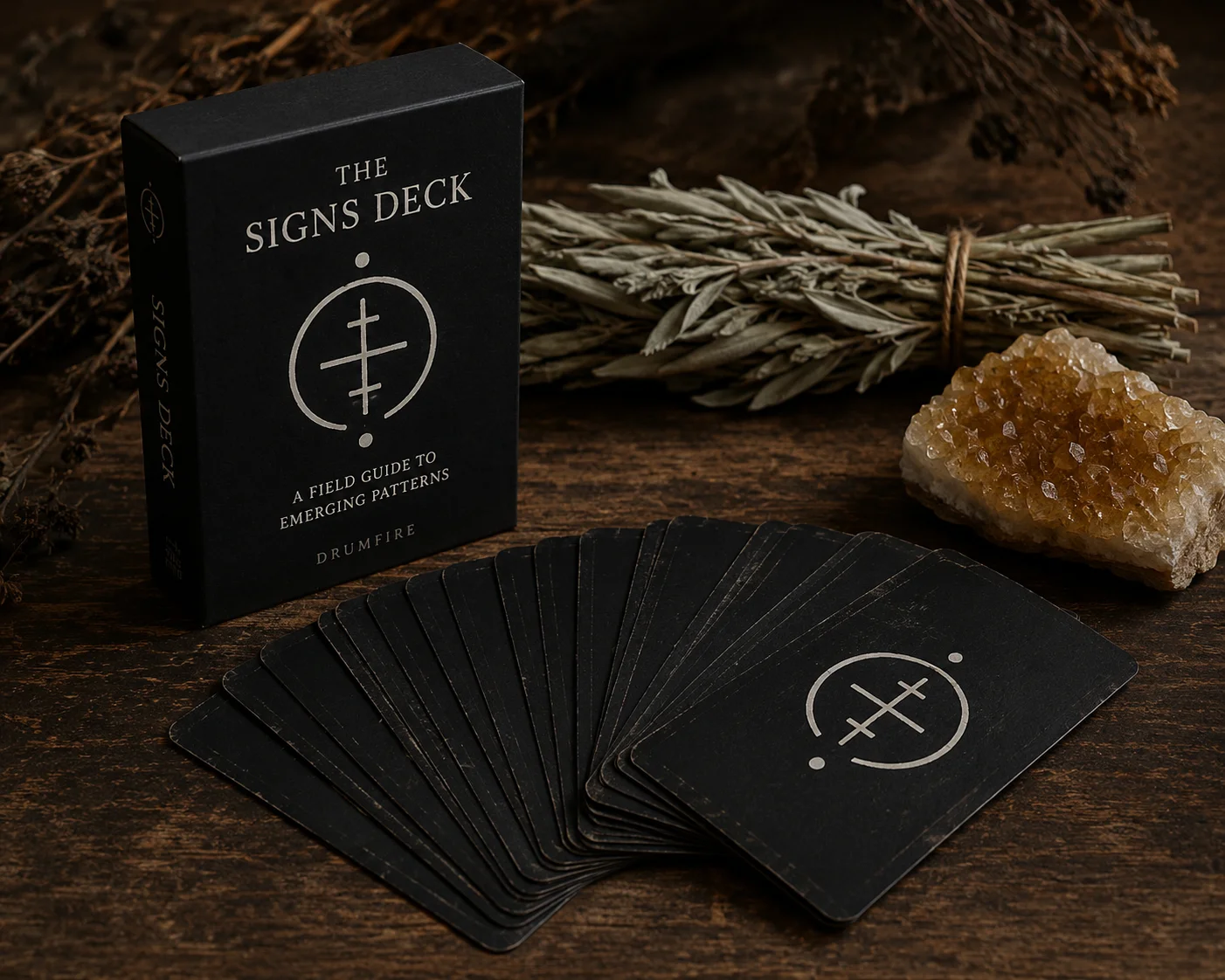 The Signs Deck - A Field Guide to Emerging Patterns product image (1)