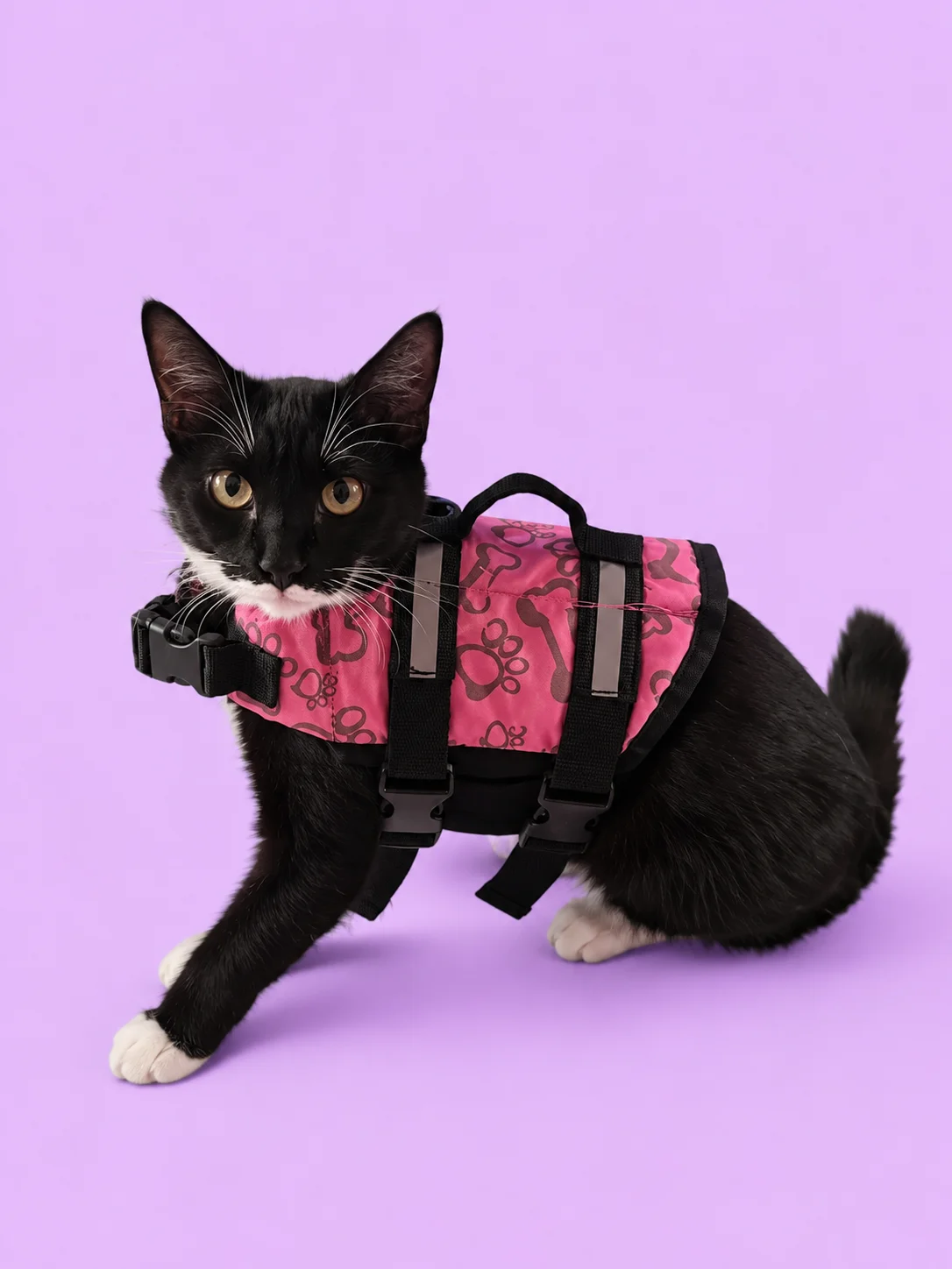 Life Jackets For Dogs and Cats product image (4)