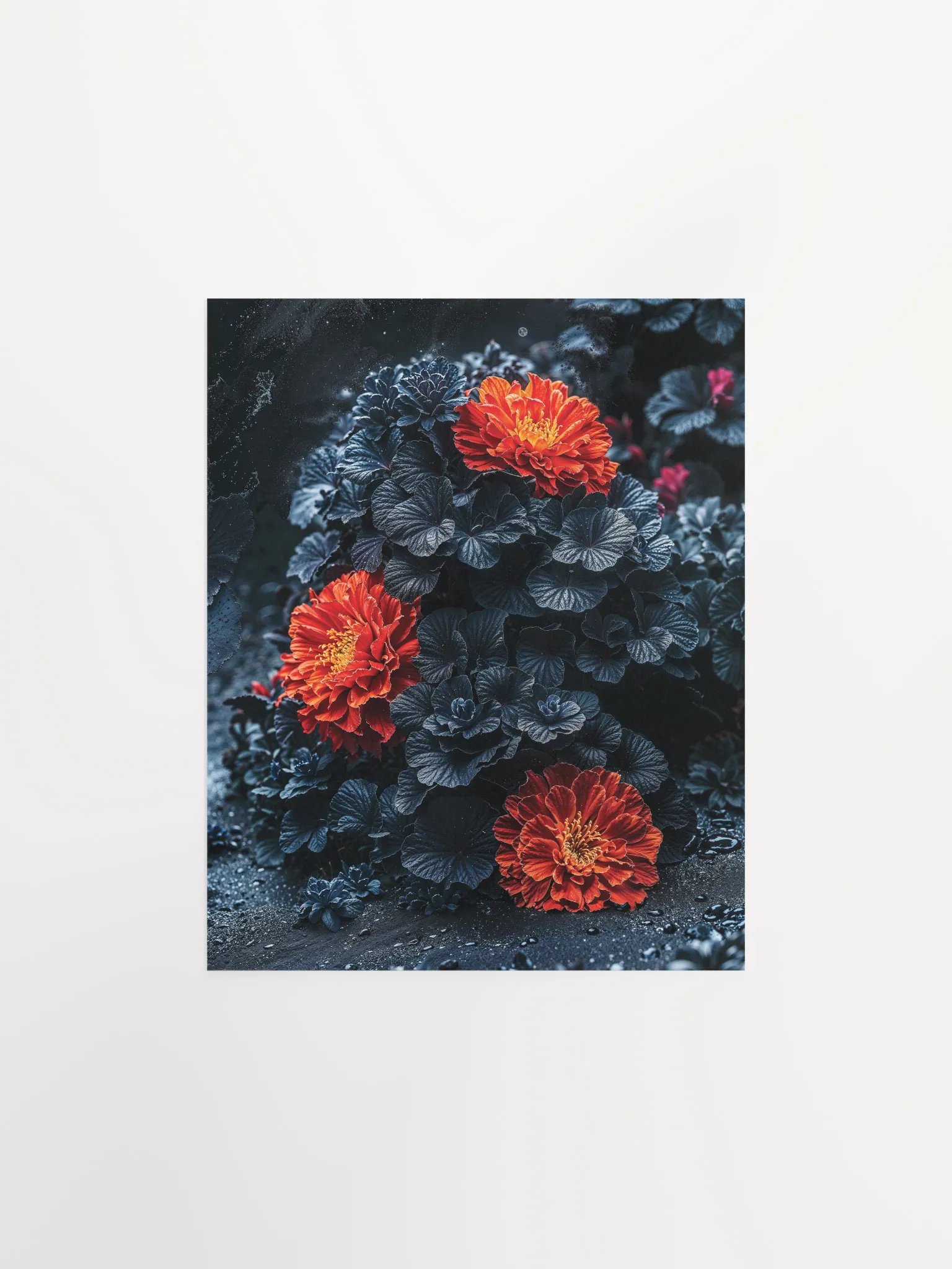 Crimson Bloom in the Void Matte Poster product image (4)