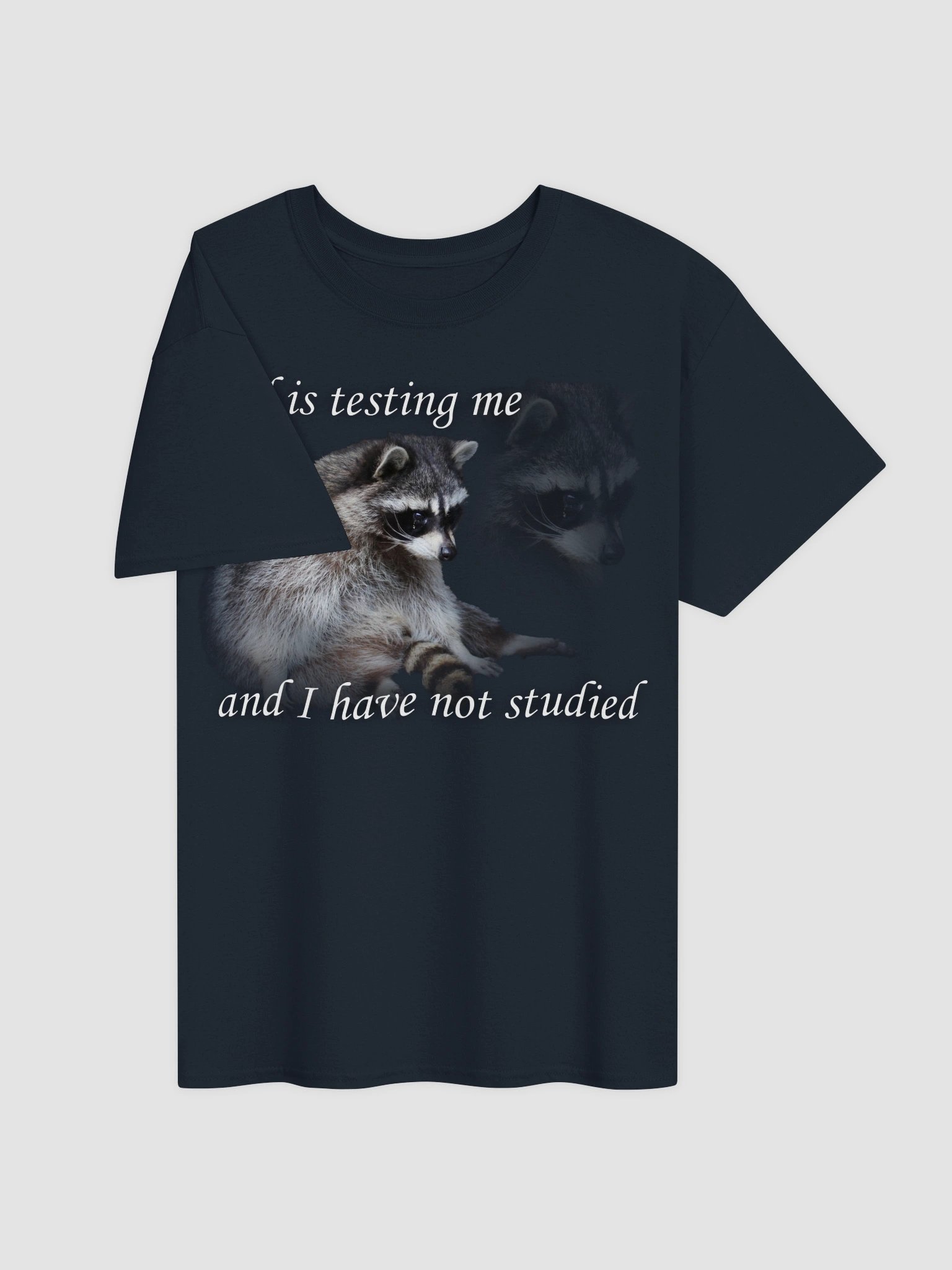 God is Testing Me Raccoon T-shirt product image (3)