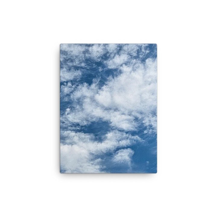 Up in the Sky Canvas product image (13)