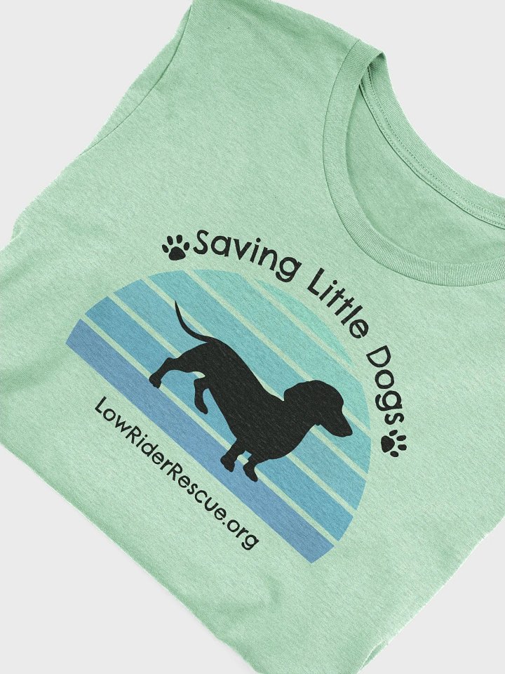 Sunset Rainbow Low Rider Dachshund Rescue T 5 product image (2)