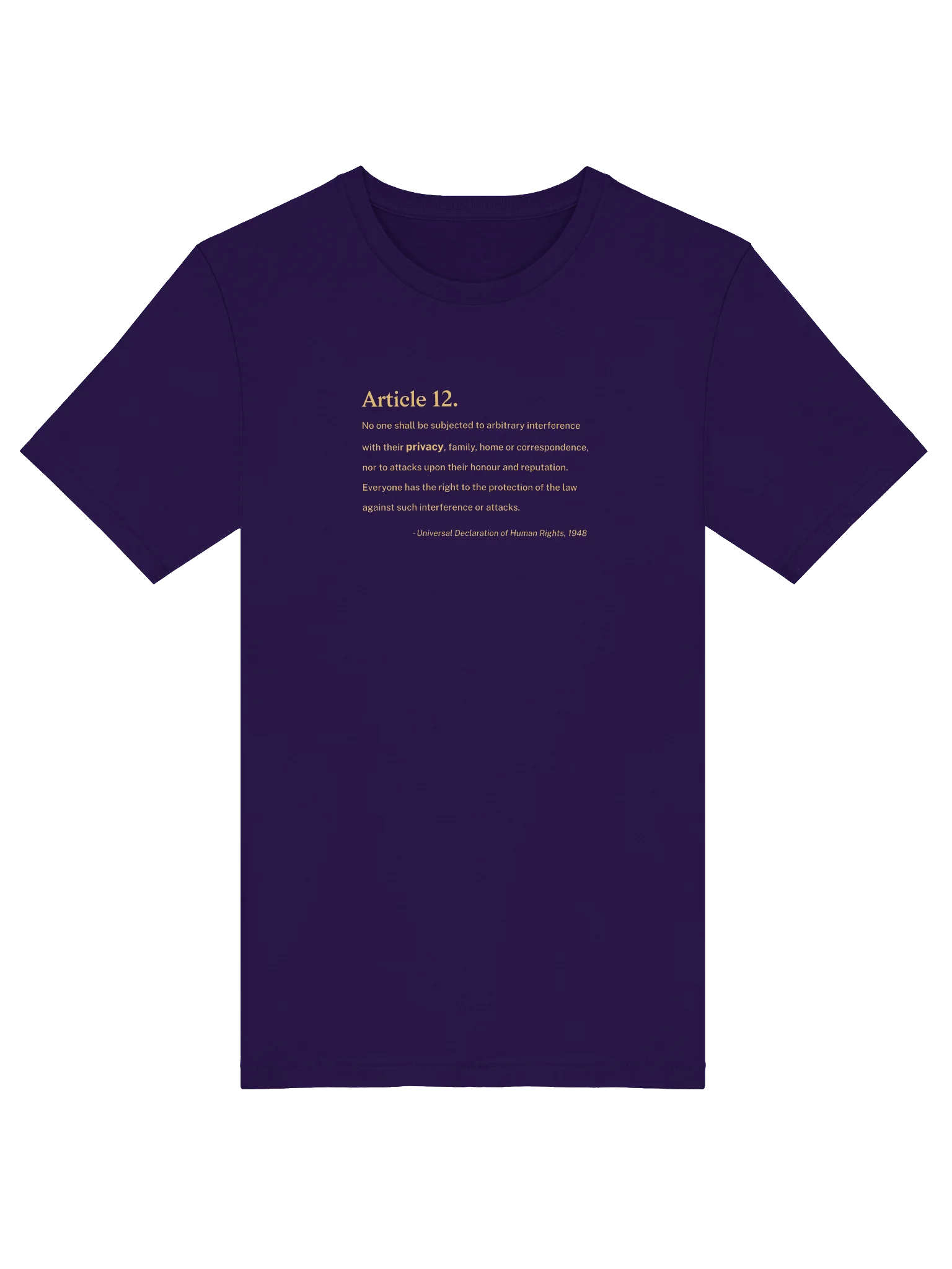 Article 12 - Supersoft T-Shirt (Bella+Canvas) product image (3)