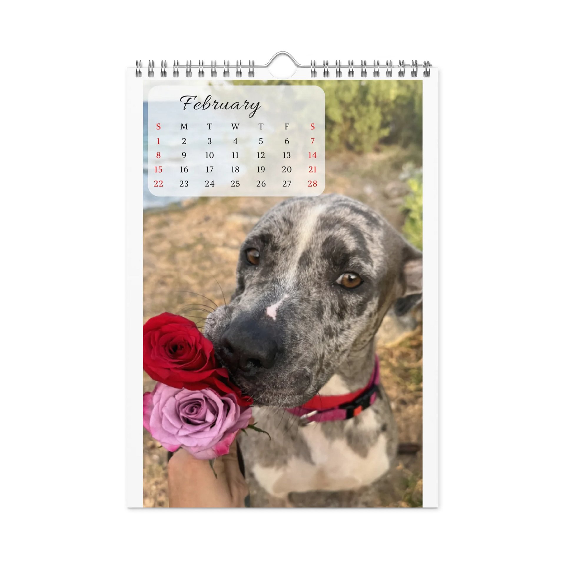 Isla Animals Calendar 2026 product image (6)