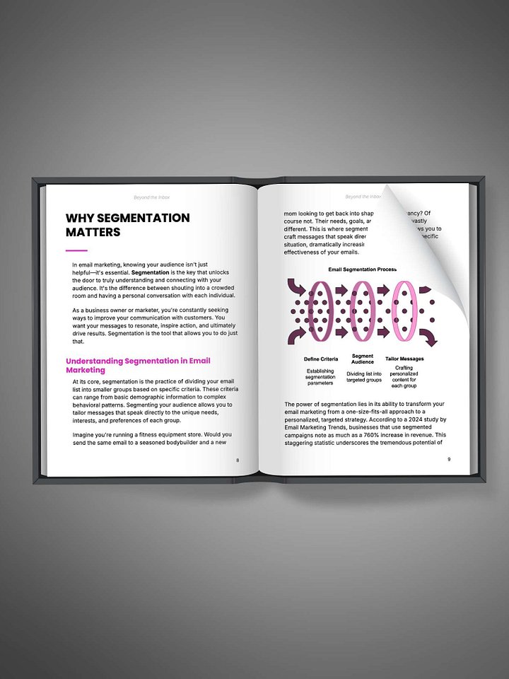 Beyond the Inbox: Email Marketing Secrets [Limited]. product image (2)