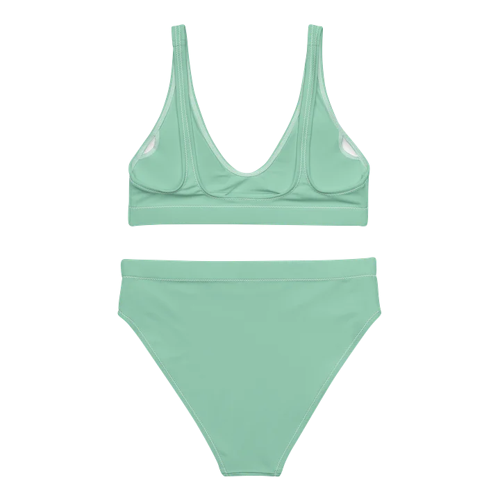 Bikini product image (2)