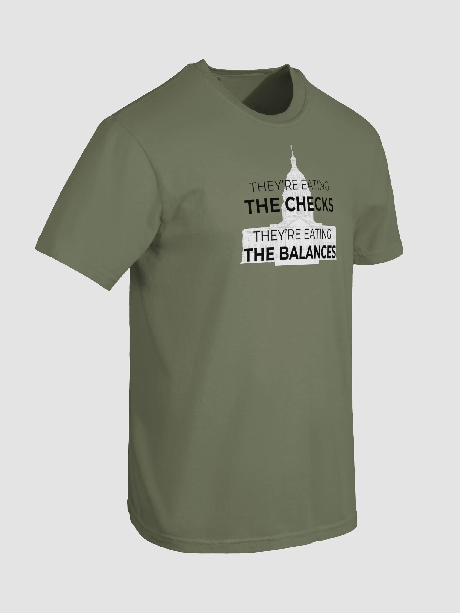 Checks & Balances Tee. product image (38)