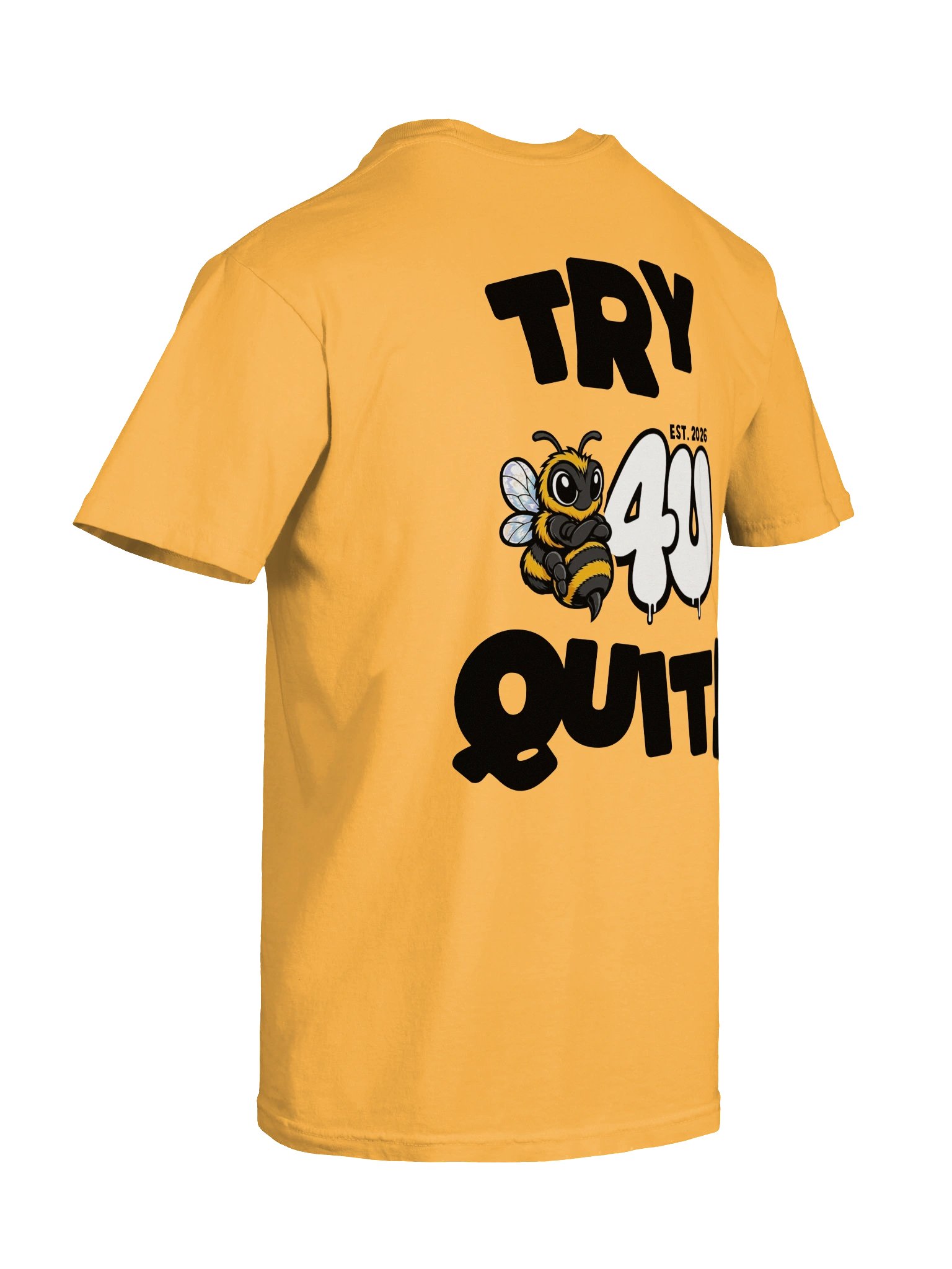 TRY BEFORE YOU QUIT Graphic Tee product image (8)