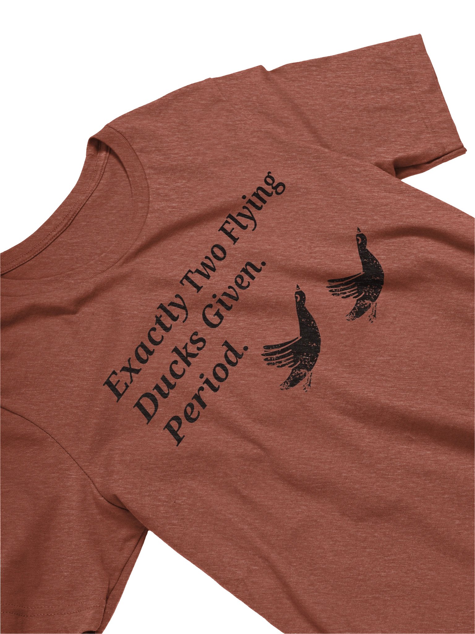 Exactly Two Flying Ducks Given product image (3)