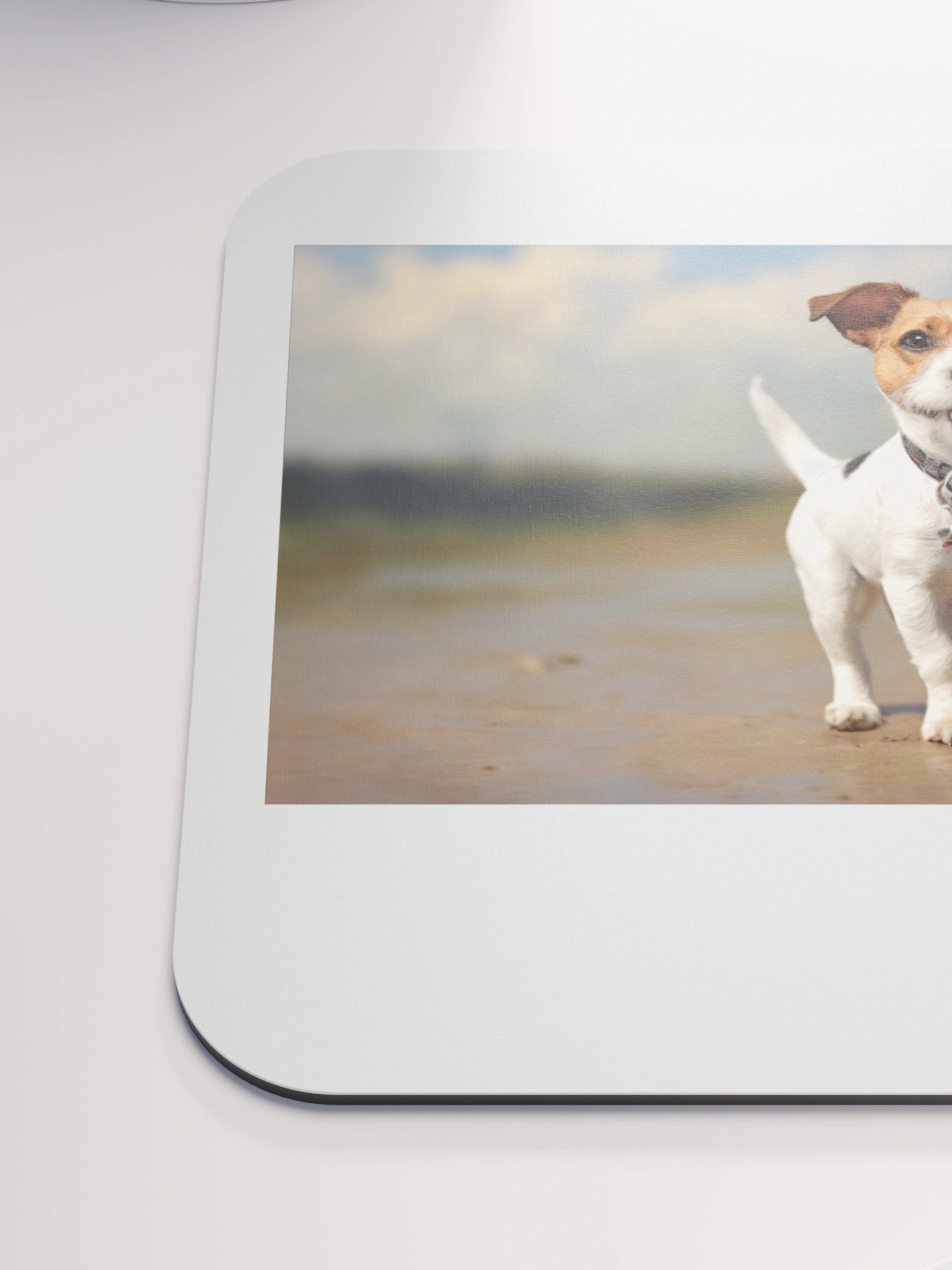 dog love product image (6)