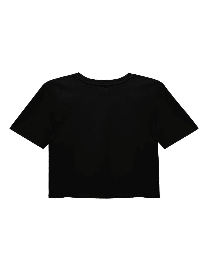 Wise Worthy Woke Women's Crop Top product image (5)