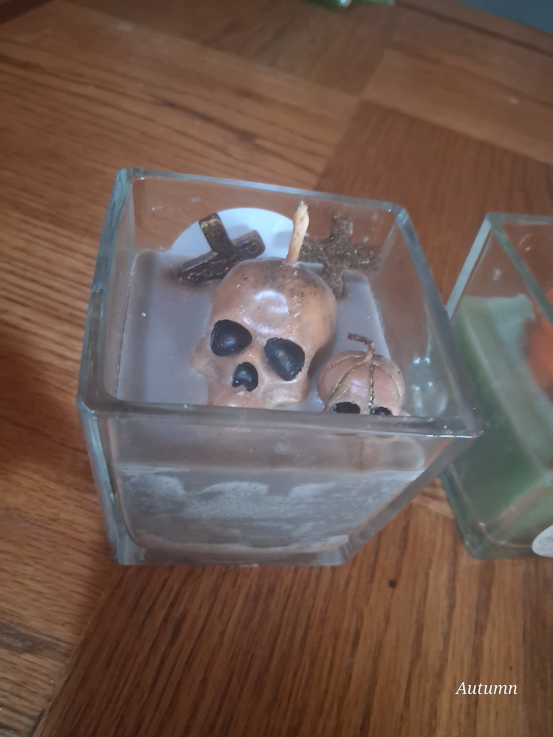 Pumpkin Patches product image (2)