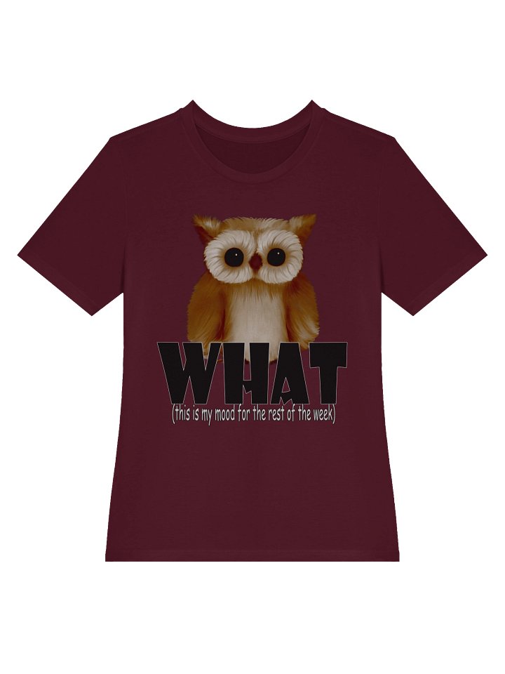 Owl "WHAT" T-Shirt. Women's Bella+Canvas Supersoft Relaxed-fit T-Shirt product image (2)