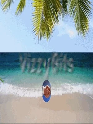 Walking elephant on the beach - Unique video, show stopper, for your social media product image (1)