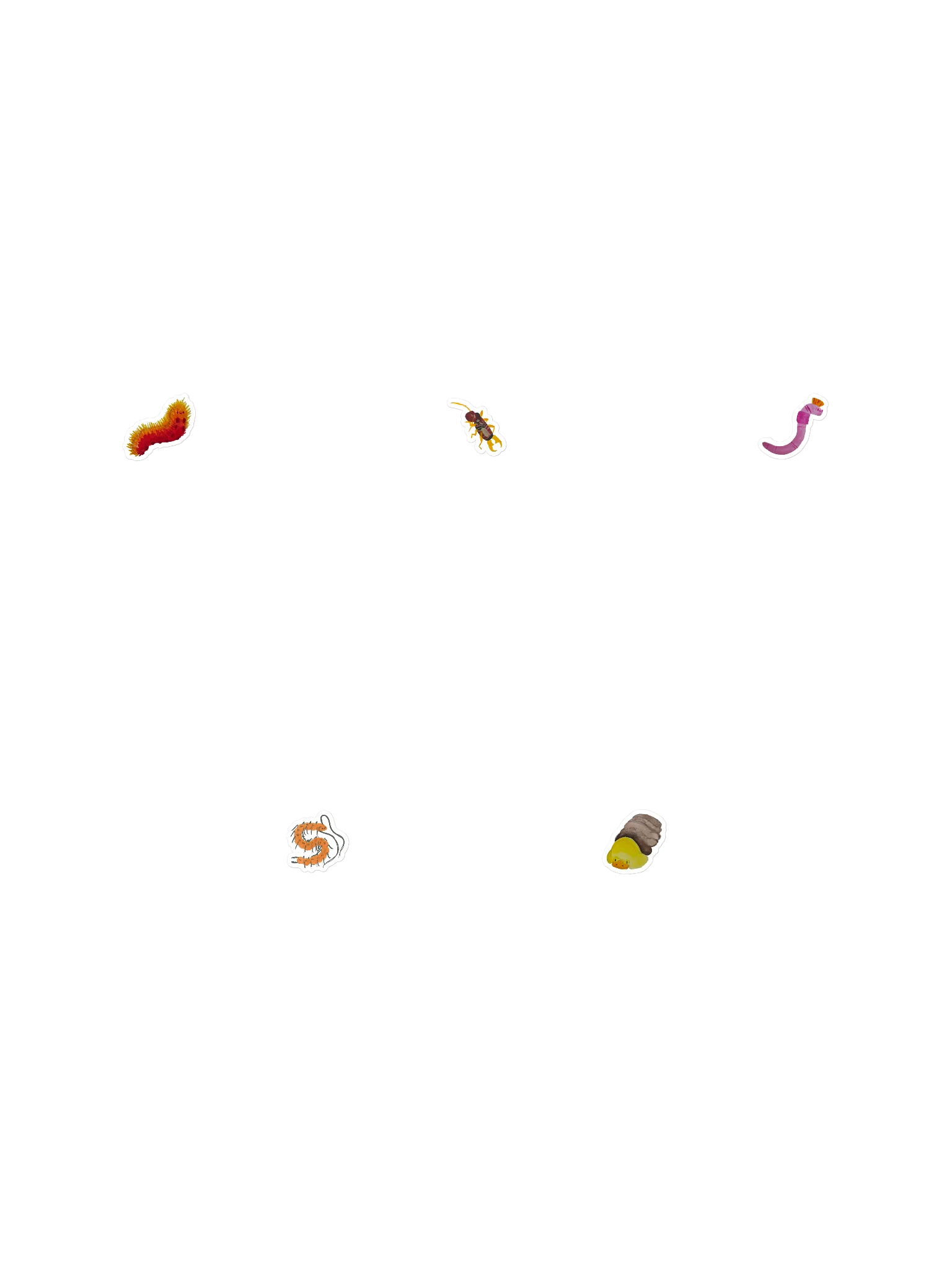 Sticky Bugs -Squiggly & Squirmy Bundle product image (1)