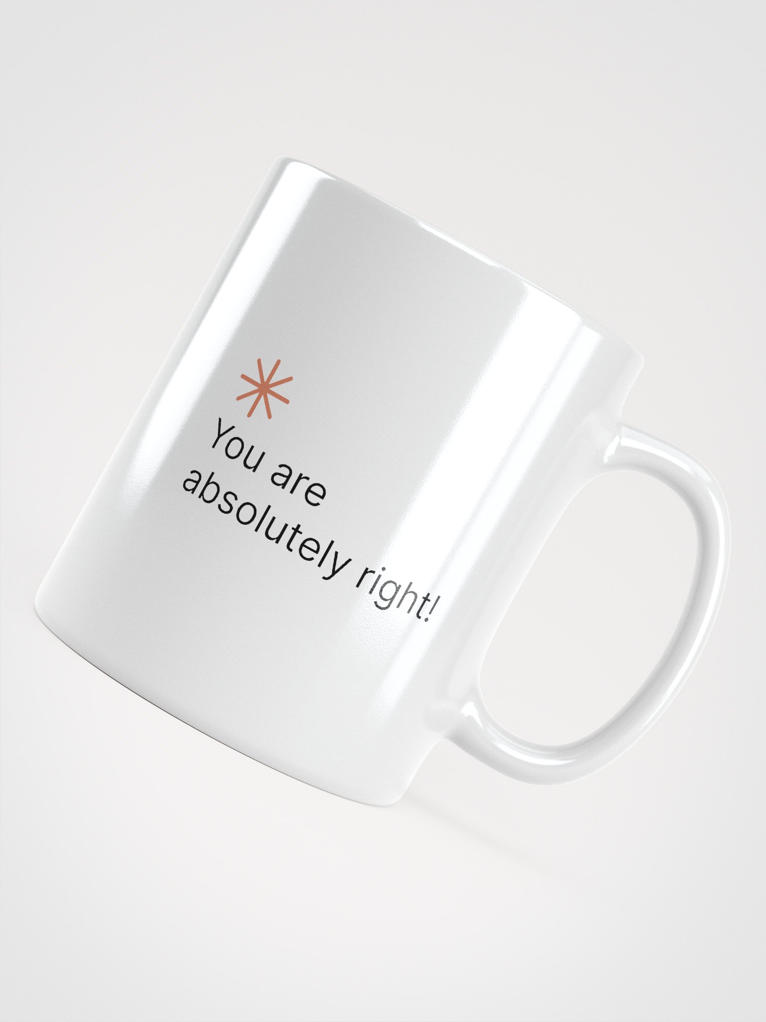 You are absolutely right! product image (4)