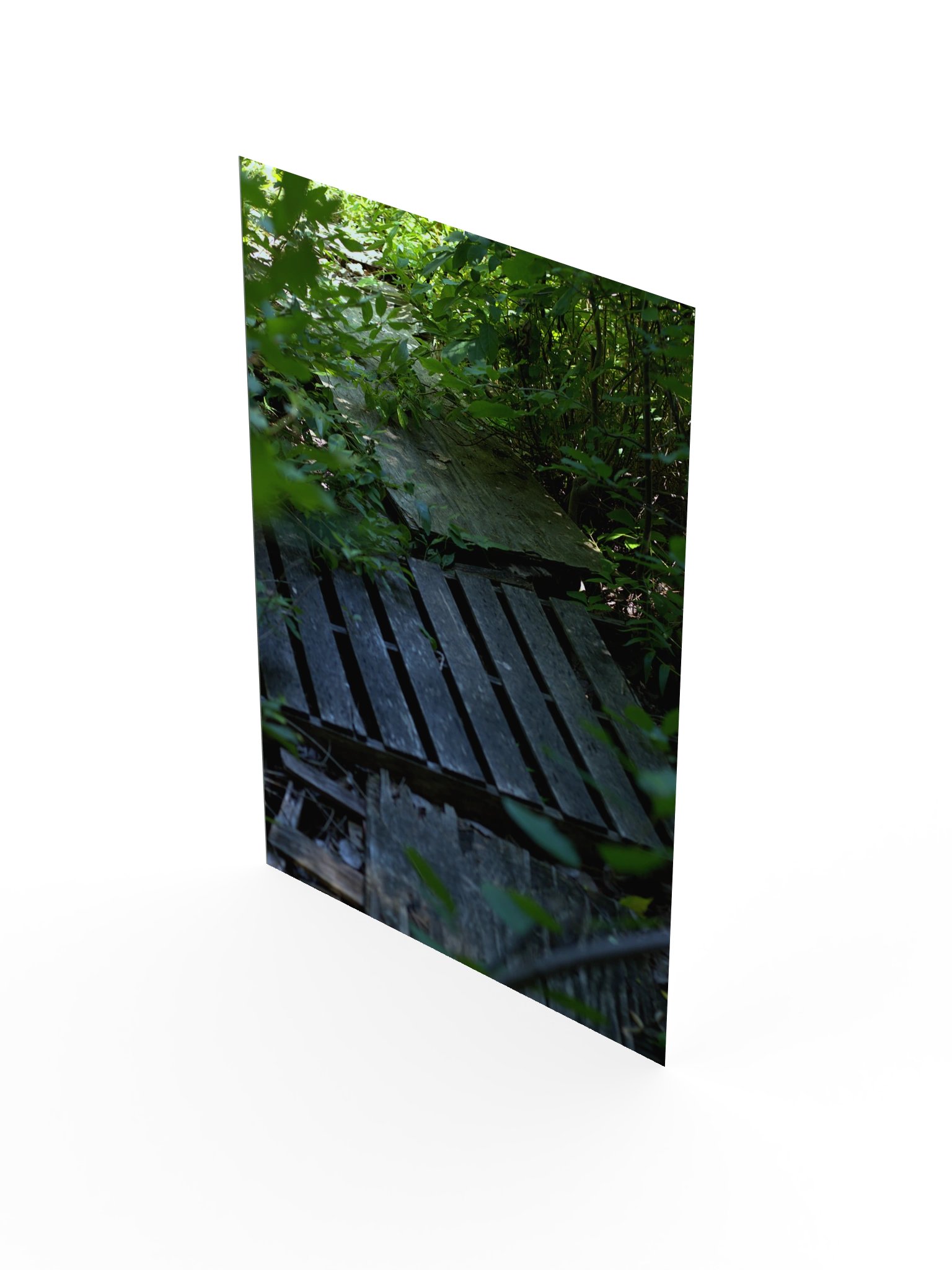 plank product image (3)