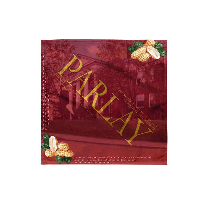 Peanut Scarf product image (1)
