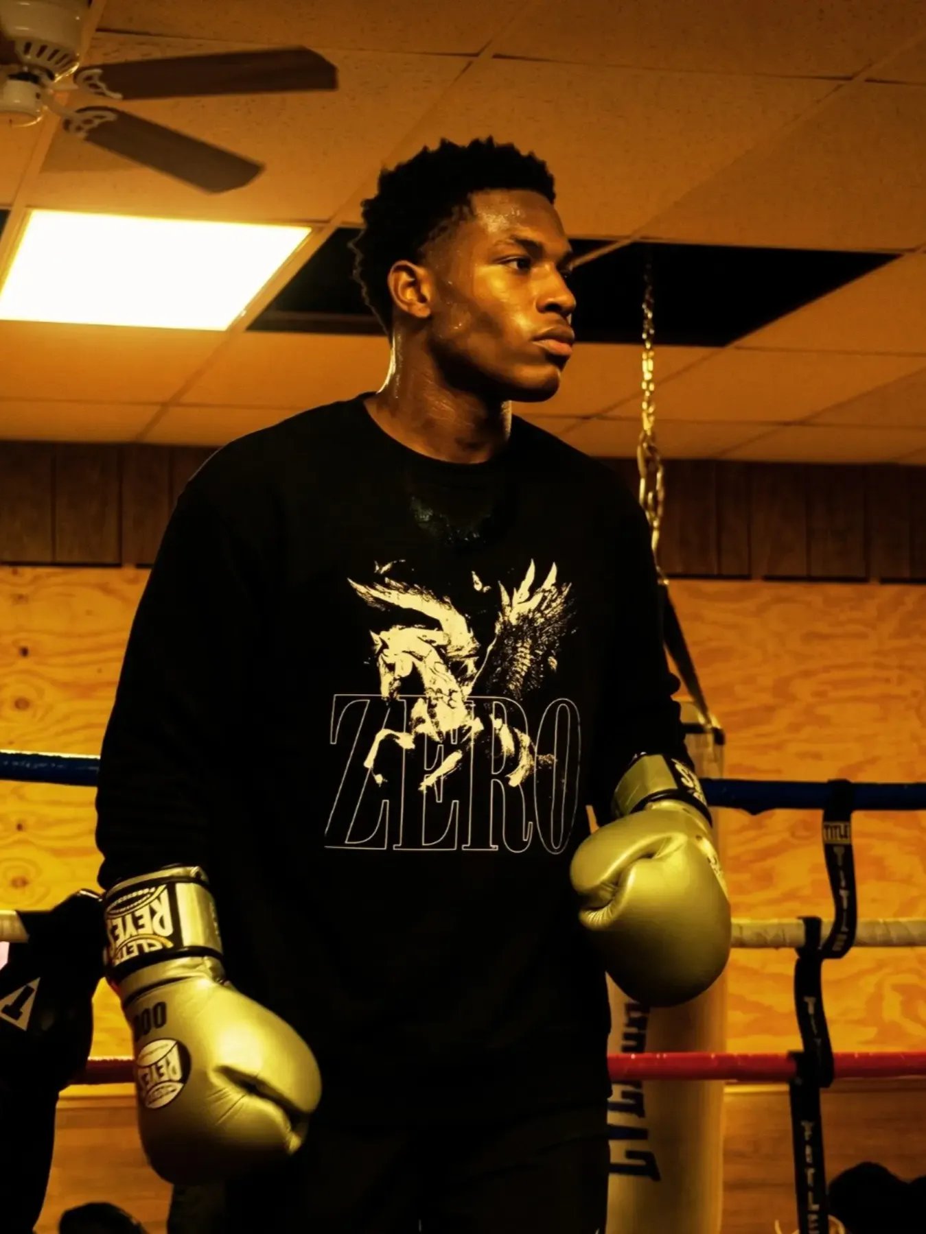 THE PEGASUS HEAVYWEIGHT SWEATSHIRT product image (7)