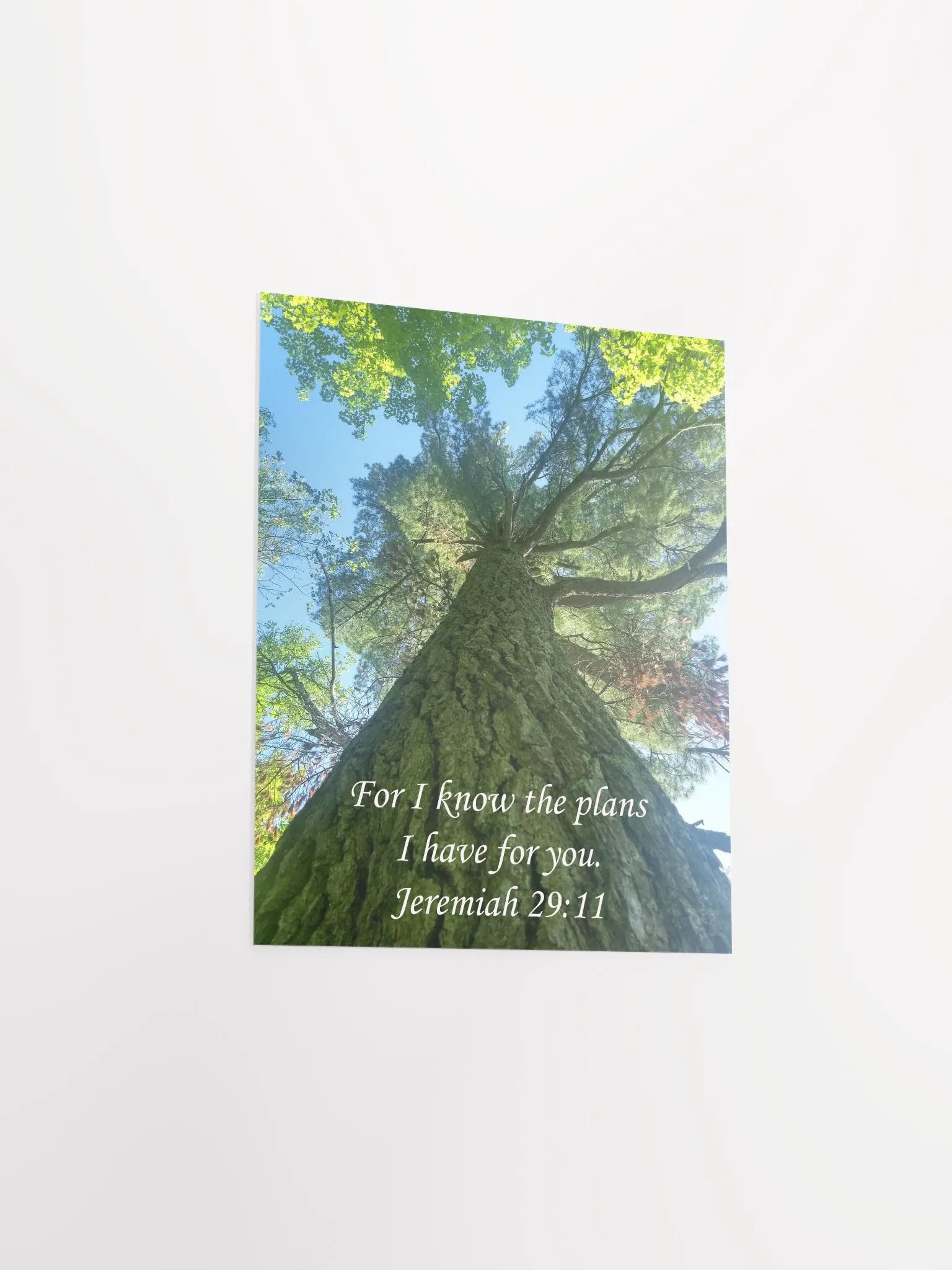 I Know the Plans - Print product image (3)