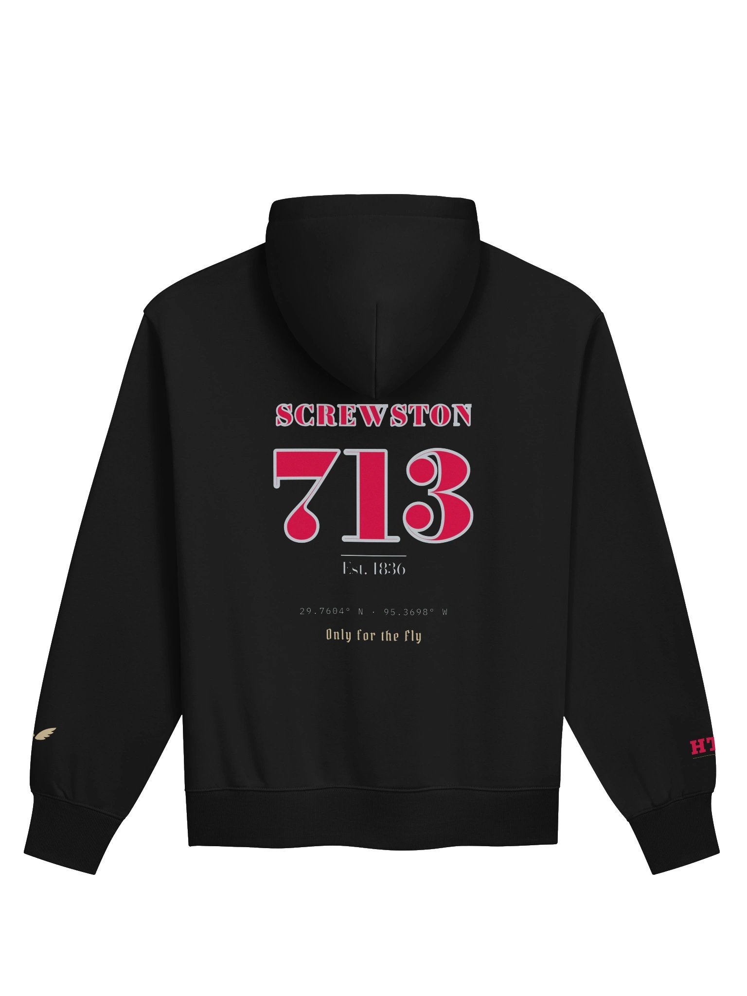GAME DAY — Houston · Hoodie · Black product image (2)