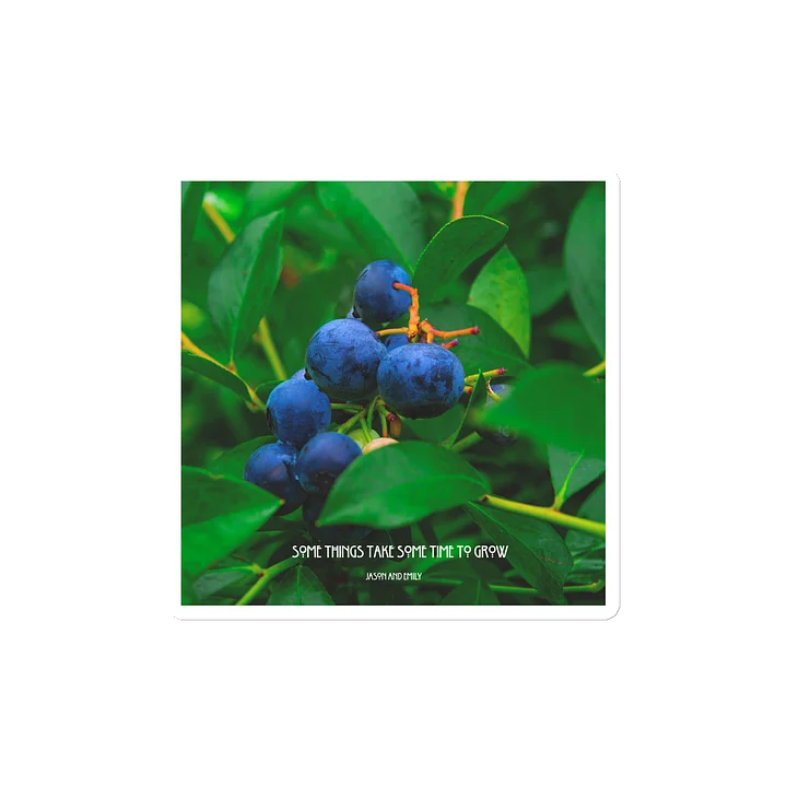 Some things take some time to grow- Wild Blueberry Magnet product image (2)