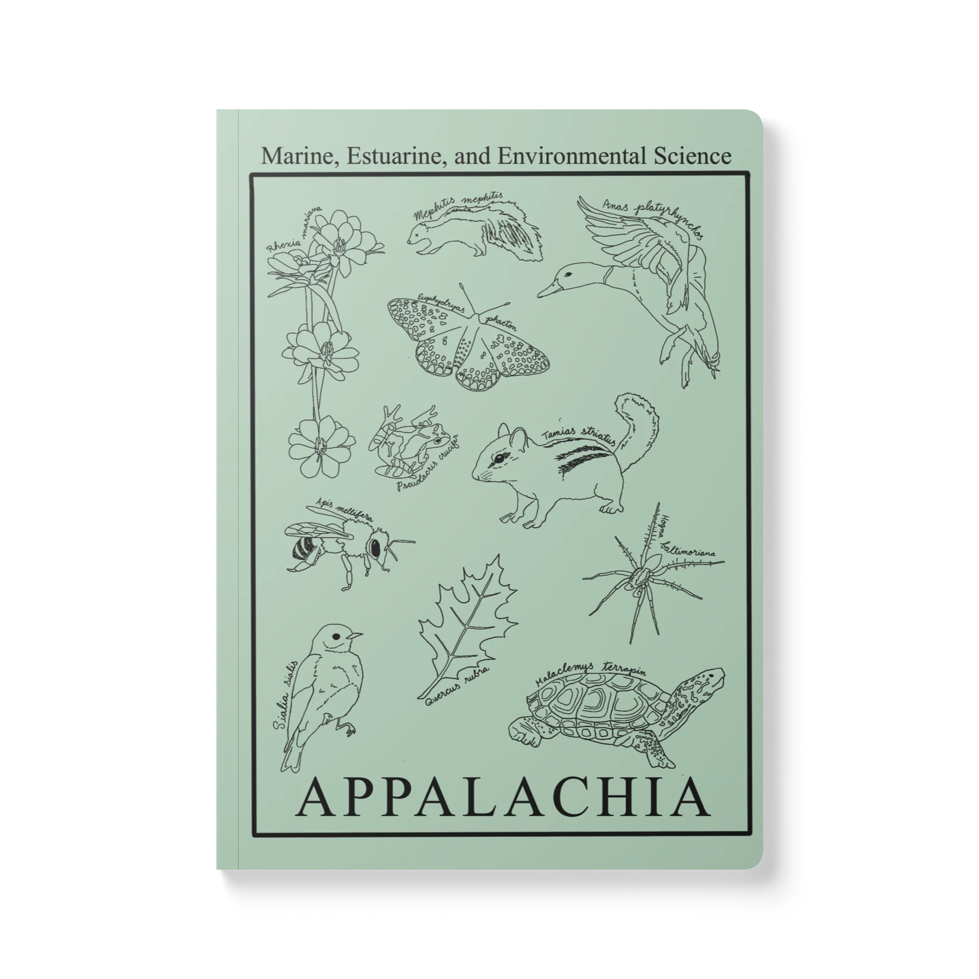 Appalachia notebook product image (1)