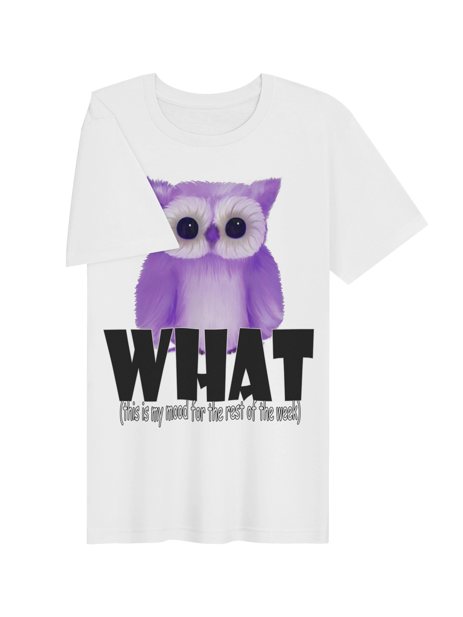 Owl "WHAT" T-Shirt. Women's Bella+Canvas Supersoft T-Shirt product image (2)