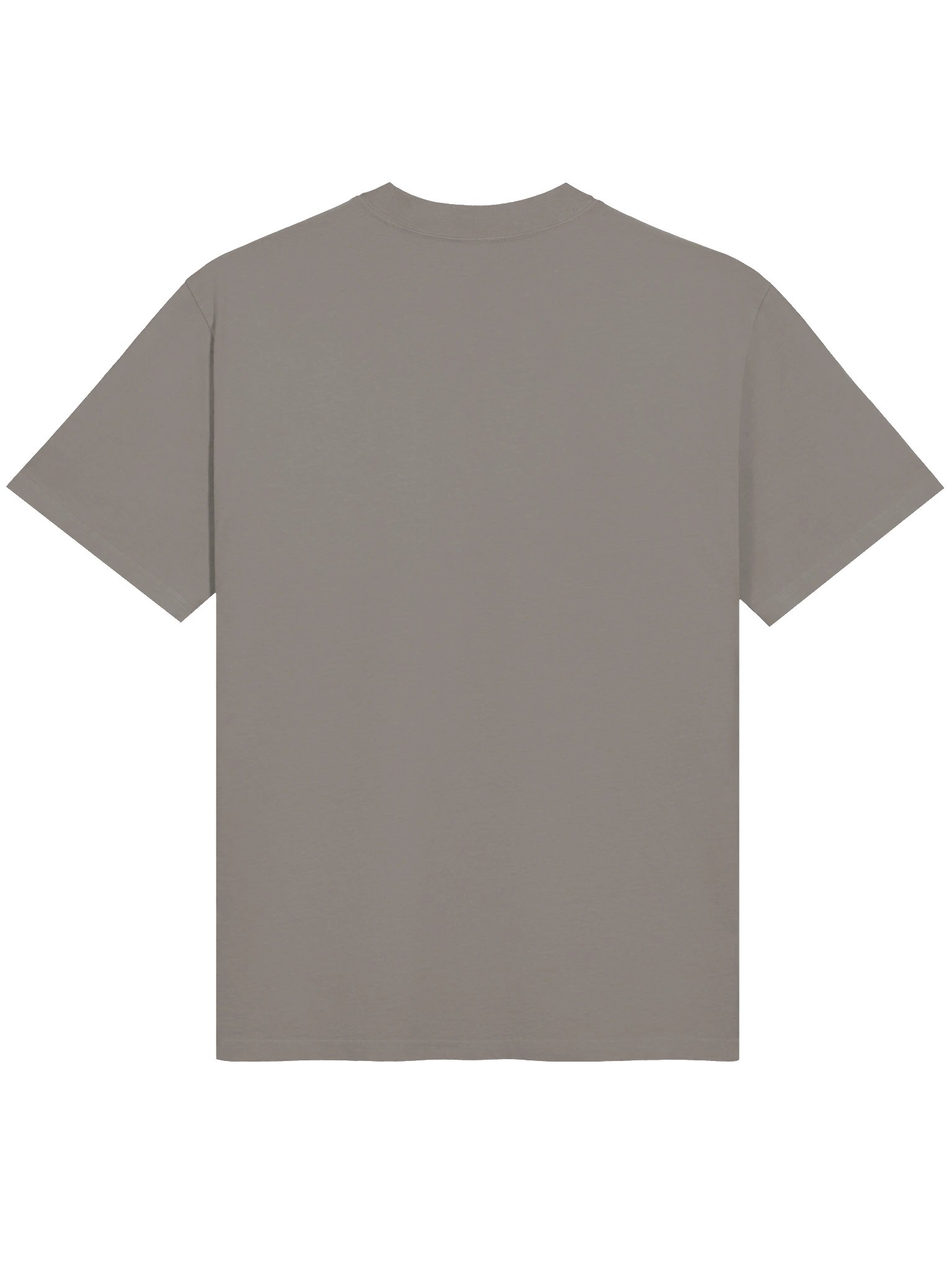 Liberty Bloom Oversized Faded Tee product image (6)