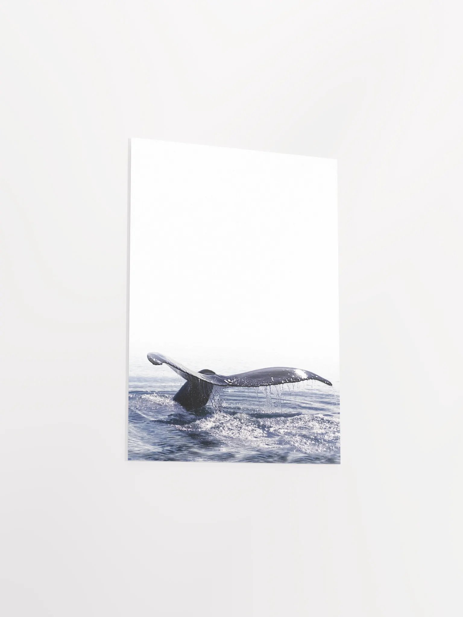 Whale Tail Dive Poster product image (31)