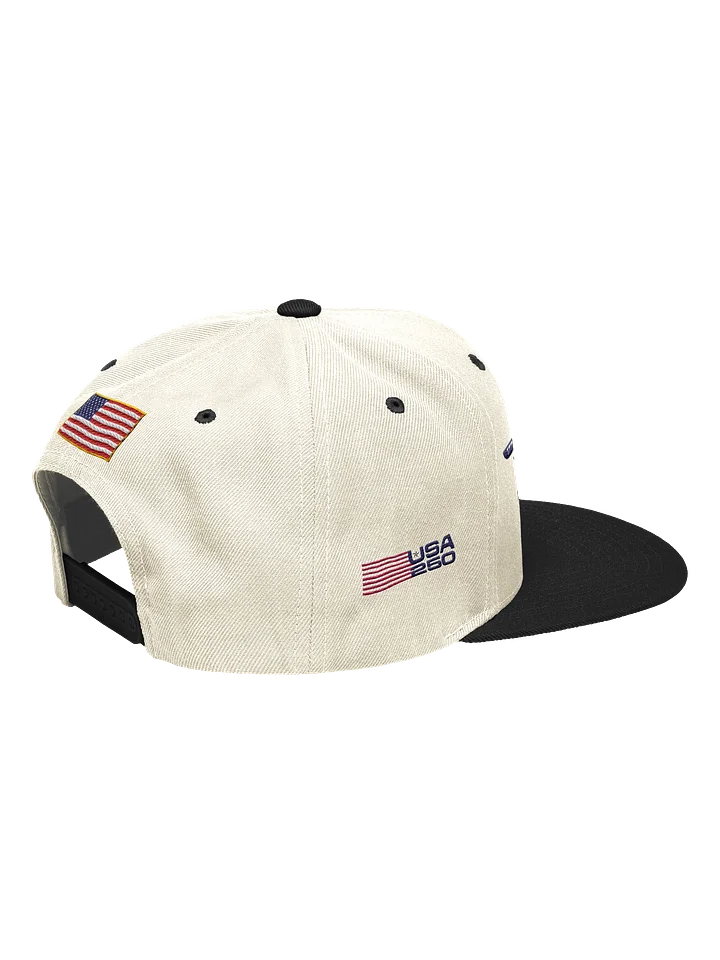 USA250 Winged Logo Two Tone Cap product image (2)
