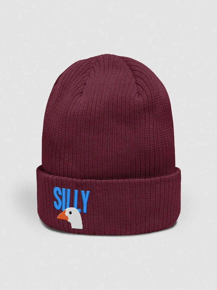 Silly Goose Beanie product image (2)