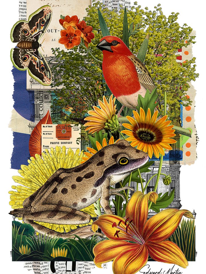 'Nature Collage No. 879' by Edward Martin-Vibrant Matte Poster Print product image (1)