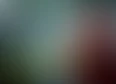 Exclusive's tag thumbnail