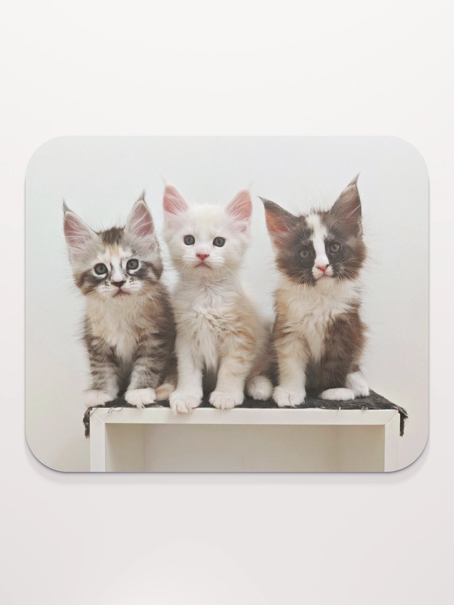 Ada's Kittens - Mouse Pad product image (2)