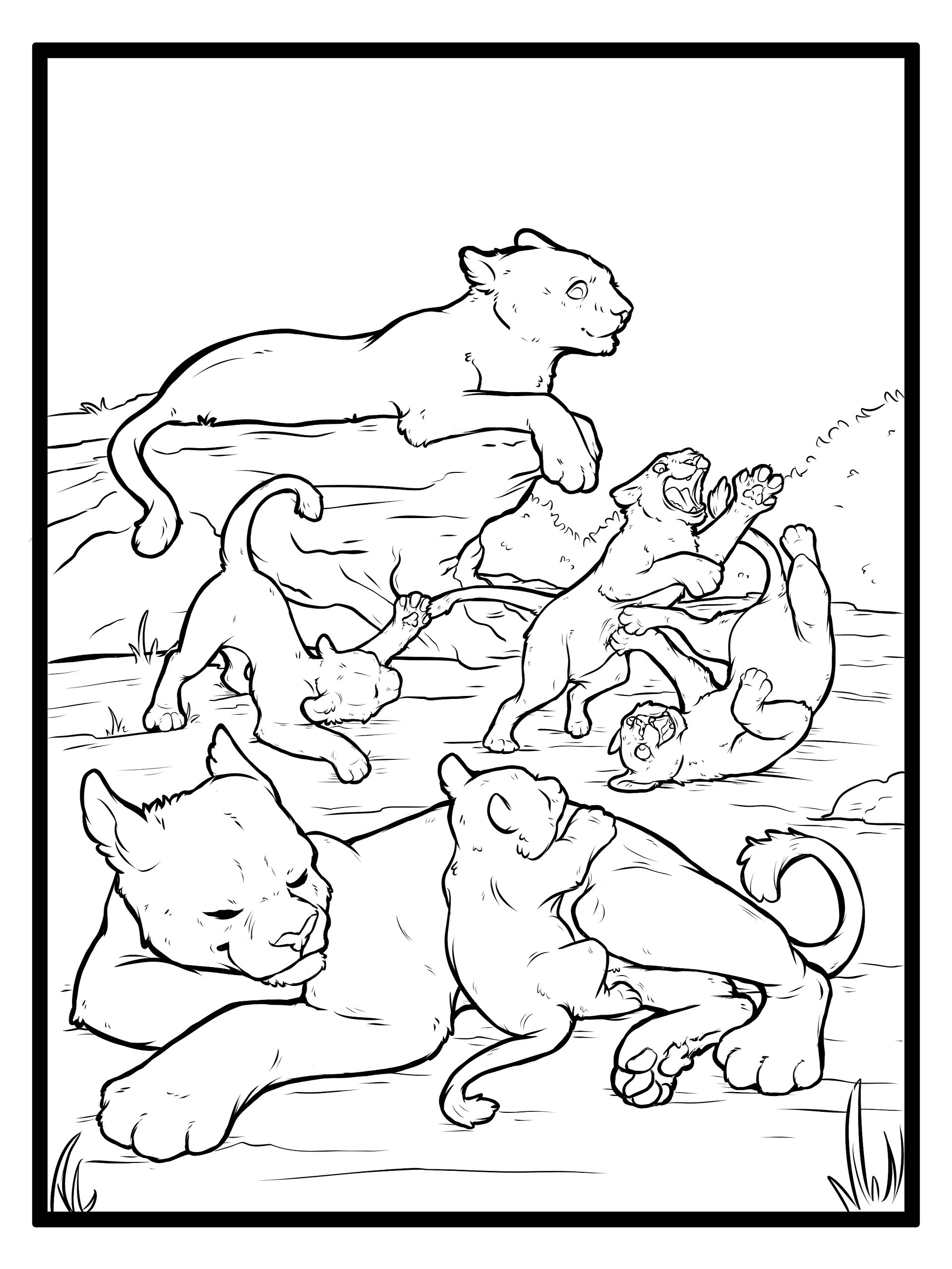 African Lion Collection - Coloring Pages product image (11)
