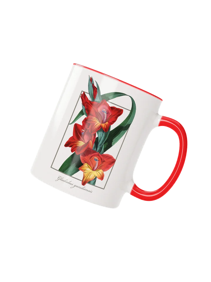 Gladiolus Gandiensis Flower - mug product image (4)