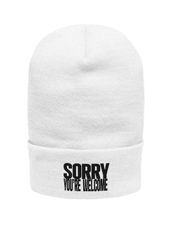Sorry, You're Welcome (Embroidered Beanie) product image (1)