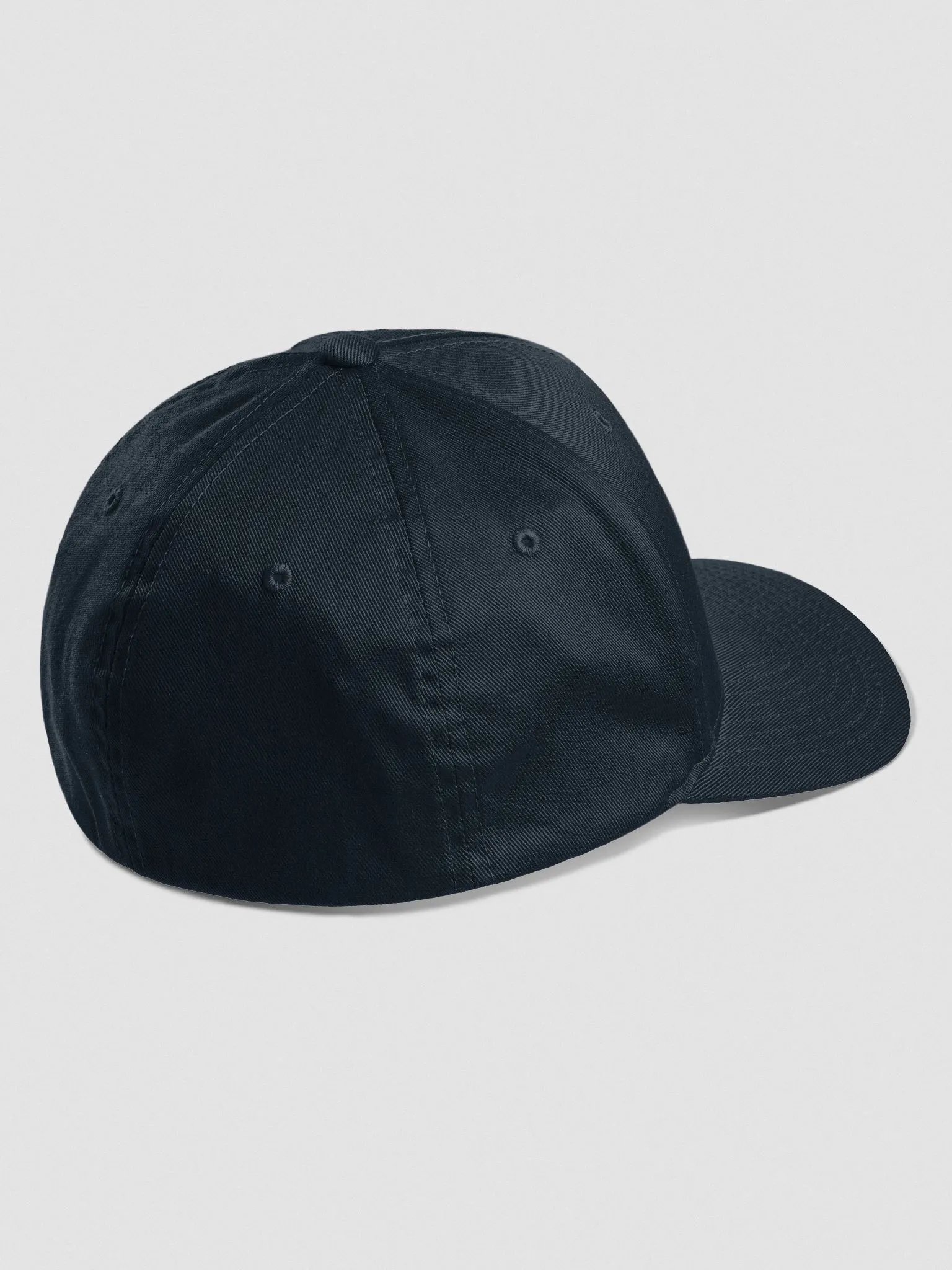 Fitted Hat product image (3)