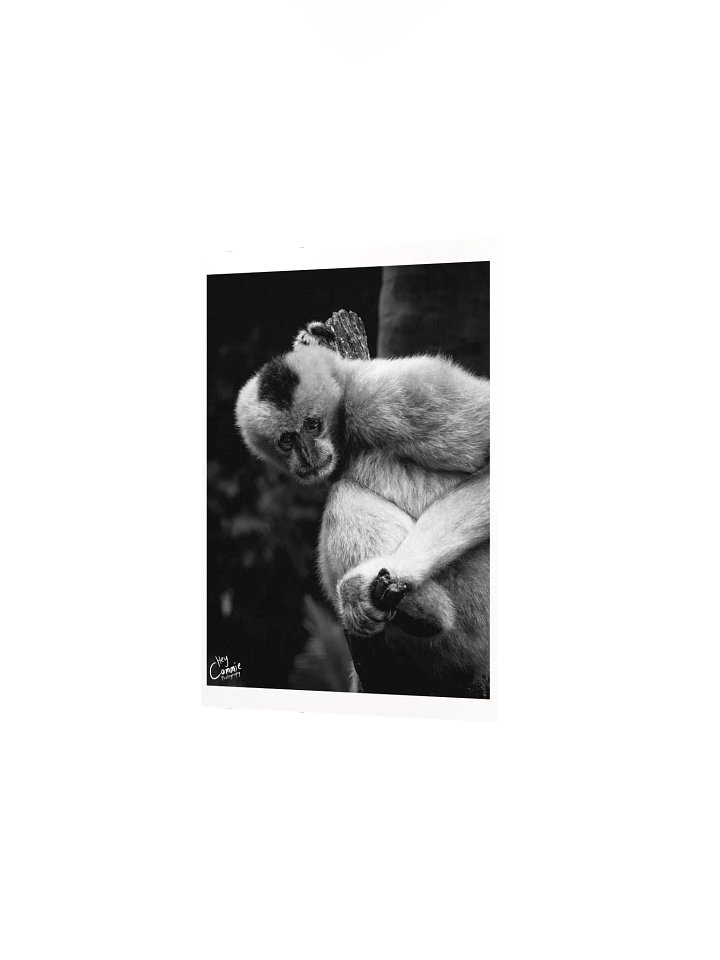 The Gibbon In The Tree - Print product image (2)