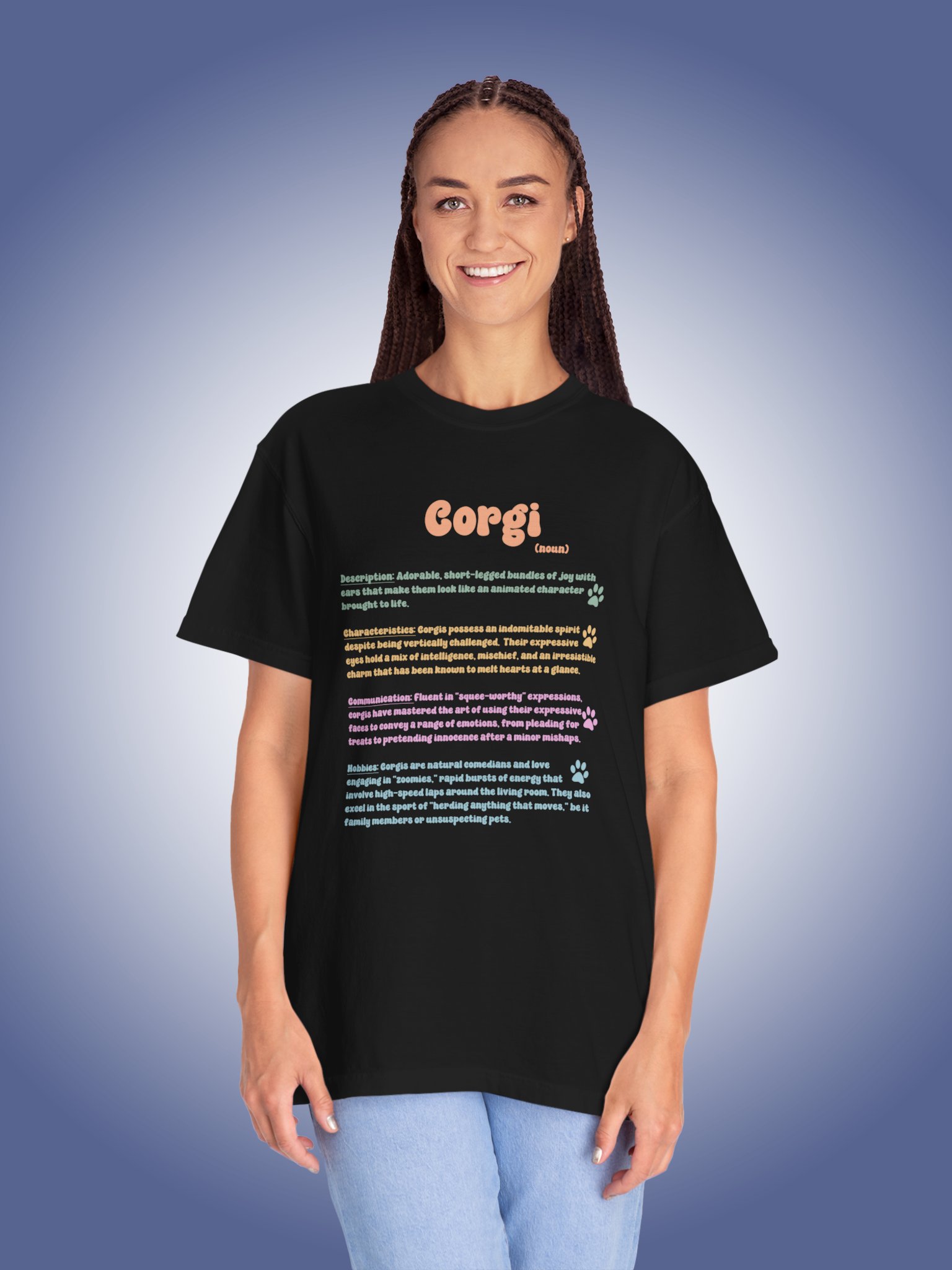 Definition of a Corgi product image (1)