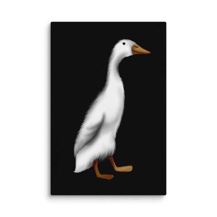 Canvas product image (2)