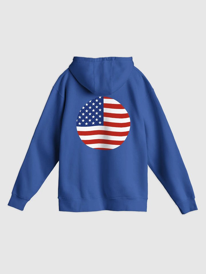 Lets Make America Great Again 2024 Premium Hoodie product image (10)