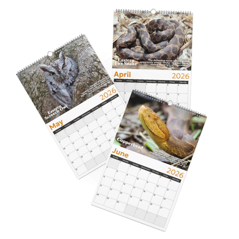 2026 Wall Calendar product image (3)