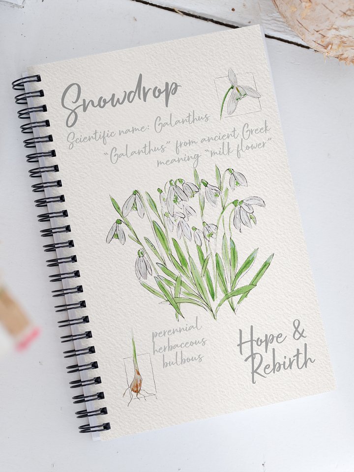 Snowdrop Flower Field Notes Style Notebook product image (1)
